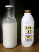 Le lait Ribot